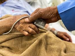 We did not find results for: Muere En Honduras Segundo Paciente Con Sospecha De Hongo Negro Internacional Noticias El Universo