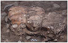 Jammu ve keşmir birlik bölgesi. Pre Pottery Neolithic B Wikipedia