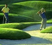 Image result for why is golf a mental game