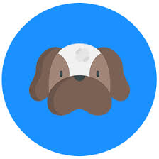 Beach pet hospital online store. Delray Beach Animal Hospital L Veterinarian Delray Beach Fl Boca Raton Fl Boynton Beach Fl Lake Worth Fl