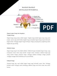 Maybe you would like to learn more about one of these? Bagian Bunga Sepatu Dan Fungsinya Pdf