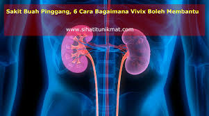 Rasakan sakit pinggangmu yang makin lama semakin reda. Sakit Buah Pinggang 6 Cara Bagaimana Vivix Boleh Membantu Pengedar Shaklee Kota Damansara Pj
