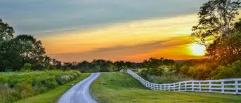 2022 Annual Report PRESERVING THE PAST, PLANNING FOR THE FUTURE