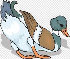 Itik merupakan jenis unggas yang termasuk dalam class aves. Bebek Burung Bebek Berwarna Warna Splash Hewan Png Pngegg