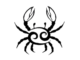 There are three water signs: Jeko Markov Jeko2101 Profile Pinterest