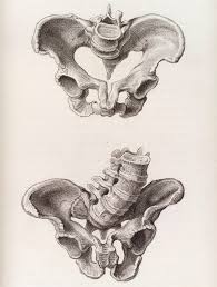 Obstructed Labour Wikipedia (viz., use of terms like hysterectomy). obstructed labour wikipedia