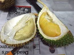 Durian merah asal malaysia dipanggil dengan 'little red' karena buahnya yang kecil dan juga bewarna merah merona jenis kelezatan durian merah dapat anda nikmati tanpa menguras isi dompet anda. Durian Wikiwand