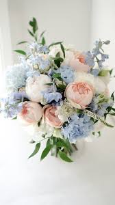 Dani Ritz (dritz1) — профиль