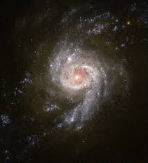 Ngc 1398 es una galaxia espiral barrada. Atlas Of Peculiar Galaxies Wikiwand