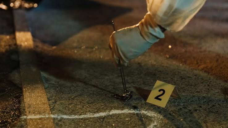 Senior South African Police General Survives Assassination Attempt Ahead of Corruption Inquiry Testimony – runningafricanow