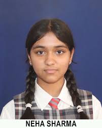 DAV Sushil Kedia Vishwa Bharati School