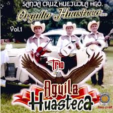 Voy a buscar, un rinconcito en el cielo, para llevar a mi amor. Un Rinconcito En El Cielo By Trio Aguila Huasteca Boomplay Music