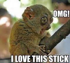 Funny Animal Saying Omg I Love This Stick Google Search Animal Humour Funny Animals Cute Funny Animals
