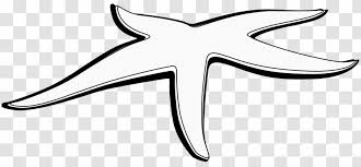 Check spelling or type a new query. Starfish Black And White Giant Panda Clip Art Symbol Drawing Cliparts Transparent Png