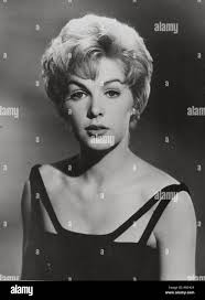 Portrait of stella hi-res stock photography and images