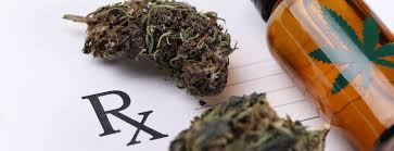 If you qualify, you will leave the appointment with your card. 4 Steps To Getting A Maine Medical Marijuana Card Hive Medicinal