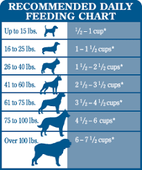 46 particular food chart for puppies