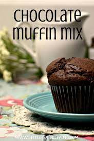 Chocolate Muffin Mix Recipe Recipe Muffin Mix Recipe Easy Chocolate Muffins Chocolate Muffin Recipe