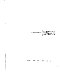 Pdf The Multiregional Evolution Of Humans
