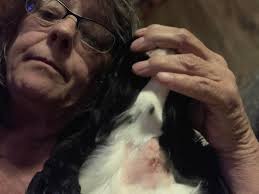 Can anyone give me any advice