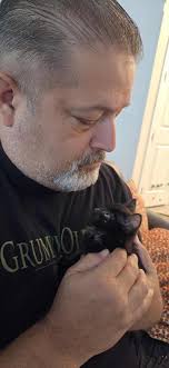 New Member Welcome to The Kitty Mafia Rescue