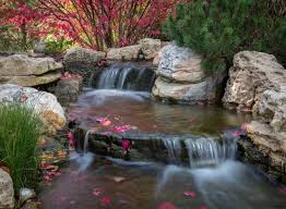 Image result for garden pond ideas