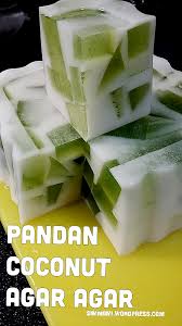 Pandan Coconut Agar Agar Jelly Recipes Jelly Desserts Asian Desserts