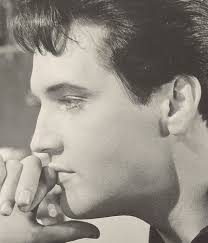 Elvis For Everyone...