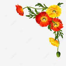 E' stato bello disegnarla, immaginandola colorata e sforzandomi di disporre i fiori in modo armonico. Bellissimi Vettori Floreali Per Disegni Ad Angolo Vettoriali Gratis Estate Primavera Png E Vector Per Il Download Gratuito