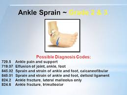 Dx Code For Knee Pain Human Anatomy