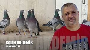 Posta Guvercinleri Salih Akdemir 2020
