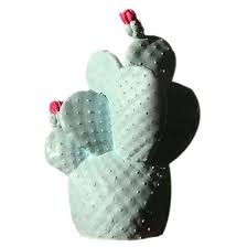 I love that a cactus makes a low. Svaghsfq74samm