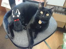 Black cat appreciation has 2,316 members. The Furry Faces Of Bookselling Volume Iv The American Booksellers Association