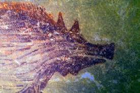 This is an online quiz called indonesia animals. World S Oldest Painting Of Animals Discovered In An Indonesian Cave New Scientist