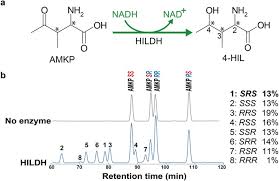 We did not find results for: Engineering A Short Chain Dehydrogenase Reductase For The Stereoselective Production Of 2 S 3 R 4 S 4 Hydroxyisoleucine With Three Asymmetric Centers Scientific Reports