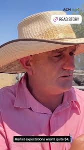 Ballarat's monthly store cattle sale is underway with 3900 cattle.