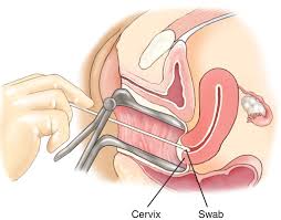 Google Image Result For Https Www Sciencesource Com Doc Tr1 Watermarked 2 E A E Ss2184472 Jpg D63641537621 Saude Da Mulher Ideias Instagram Instagram