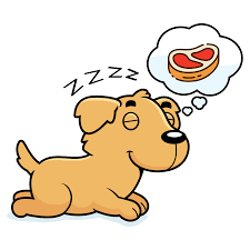 Maybe you would like to learn more about one of these? How Much Do Golden Retrievers Sleep Dog Breeds List