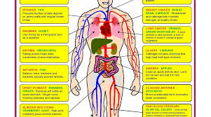 Health Care Tips Never Sick Again Chart Diagram