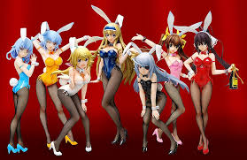 She is the sixth heroine to appear in the series. Kaufen Pvc Figuren Infinite Stratos Pvc Figure Sarashiki Tatenashi Bunny Ver 1 4 Archonia De