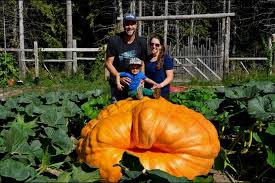 Image result for giant pumpkin