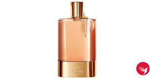love chloé perfume a fragrance for