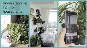 Check spelling or type a new query. Understanding Light For House Plants Types Of Light And How To Measure