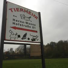 Das tierheim hat geschlossen, ist aber erreichbar. Tierheim Herne Wanne Rettet Sich Mit Spenden Radio Herne