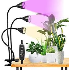 I got the grow light in january and have been trying to prop off mine and. Amazon Com Led Grow Light For Indoor Plant 360 Gooseneck Dual Head Clip On Plant Lights For Seedlings Succu Grow Light Bulbs Led Grow Lights Plant Lighting
