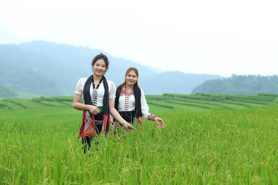 Thiếu nữ khoe sắc bên ruộng lúa bậc thang ở Pù Luông