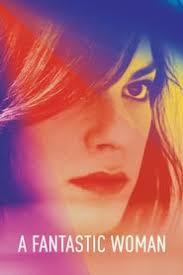 Mary and max film animat online subtitrat în română. A Fantastic Woman O Femeie FantasticÄƒ 2017 Online Subtitrat In Romana Hd Filme Online