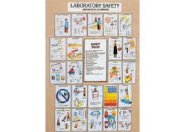 Chart Laboratory Safety 75x100cm Mta Catalogue