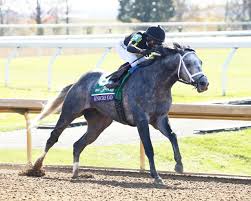 It would be nice if we could see a rivalry developing between the three. Photos Notes Quotes From The Breeders Cup Dirt Mile Knicks Go The Pressbox