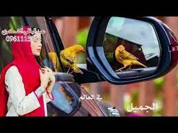 جديد محمد ابوحجاج العيون كاحله 2019 تصميم المغربي جديد محمد ابوحجاج ارفع التلفون 2019 تصميم المغربي جديد الفنان بله الرفاعي العيون صيده. Ø¬Ø¯ÙŠØ¯ Ø§Ù„ÙÙ†Ø§Ù† Ù…Ø­Ù…Ø¯ Ø§Ø¨ÙˆØ­Ø¬Ø§Ø¬ 2021 Youtube